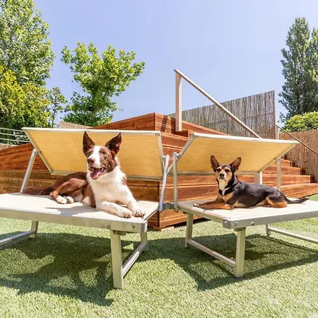 キャンプ場 Vigna Sul Mar - Maeva Vacansoleil 4*