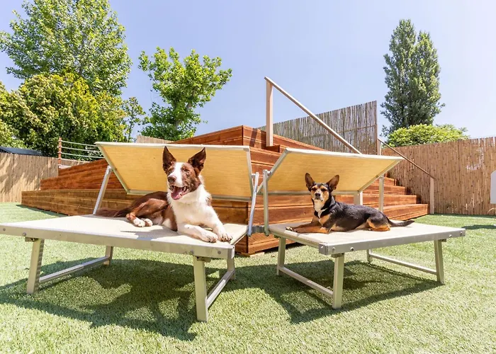 キャンプ場 Vigna Sul Mar - Maeva Vacansoleil 4*